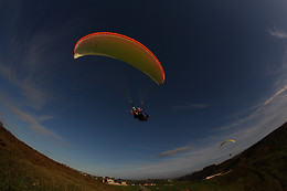 PARAPENTALIA