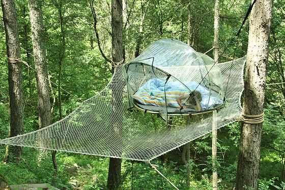 Crazy Bulle - photo 2