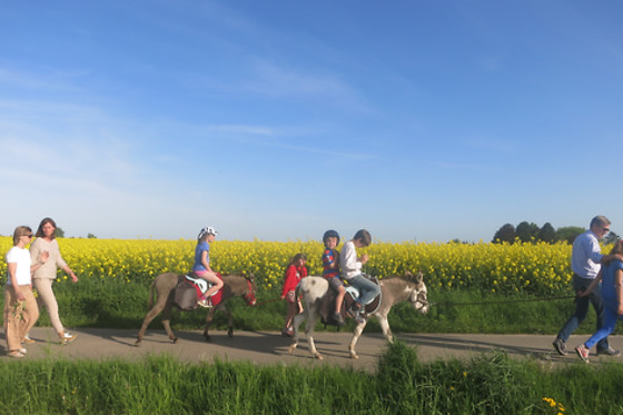 Les Ânes de François - photo 2