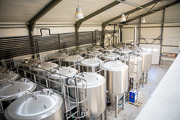 Brasserie Millevertus