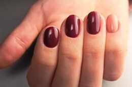 Padysnail