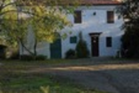 Sabbie Gialle B&B - photo 1