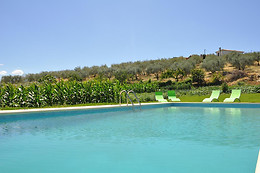 QUINTA ROTA D'OLIVEIRA