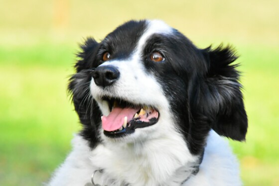 Dans l'objectif de Flo - photo 3