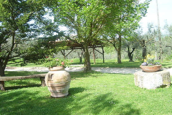 Fattoria Del Quondam - photo 5