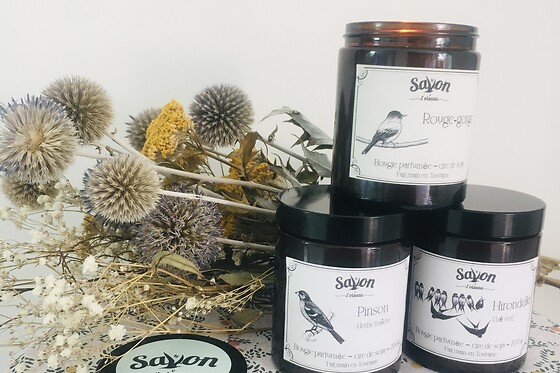 Savon et oiseau - photo 0