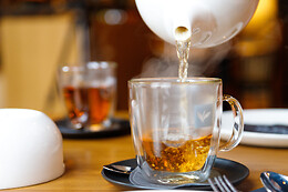 VILA Leiden