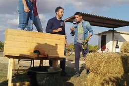 Vini Petracavallo