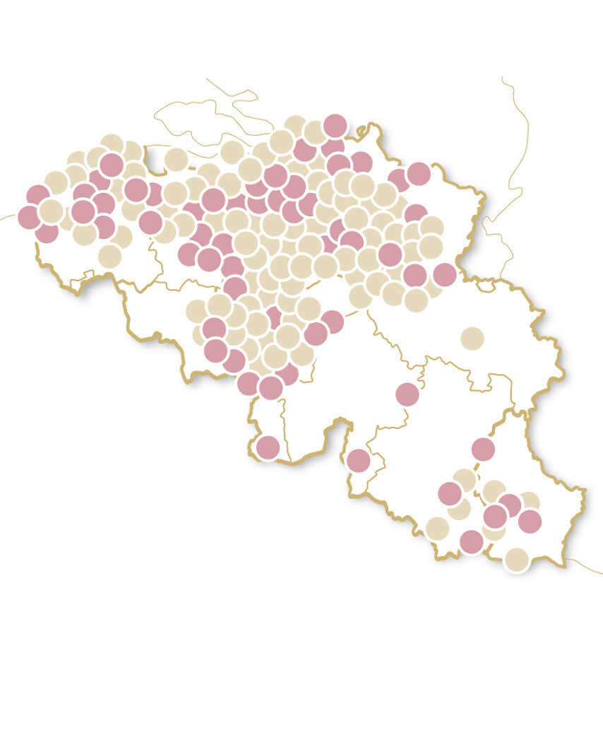 CAP OU PAS CAP - Exotique ou belge ?