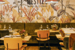 MESTIZO RESTAURANTE