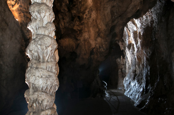 Le Domaine des Grottes de Han - photo 13
