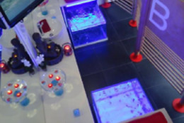 Volupta