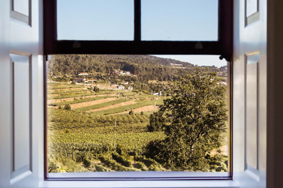 Quinta da Corredoura - Hotel Rural - photo 7