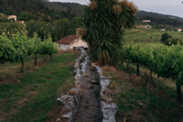 Quinta da Corredoura - Hotel Rural