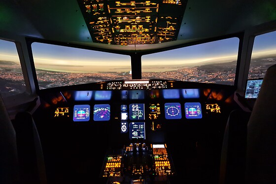 Zim Air Simulation - photo 0