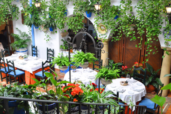 RESTAURANTE PUERTA SEVILLA - photo 4