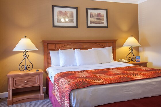 Online Booking EPS - photo 4