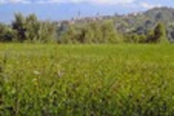 B&B Sebastiano, il Germano e il Sacco - photo 1
