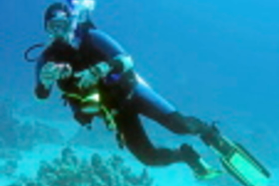 SCUBA PLUS - photo 6