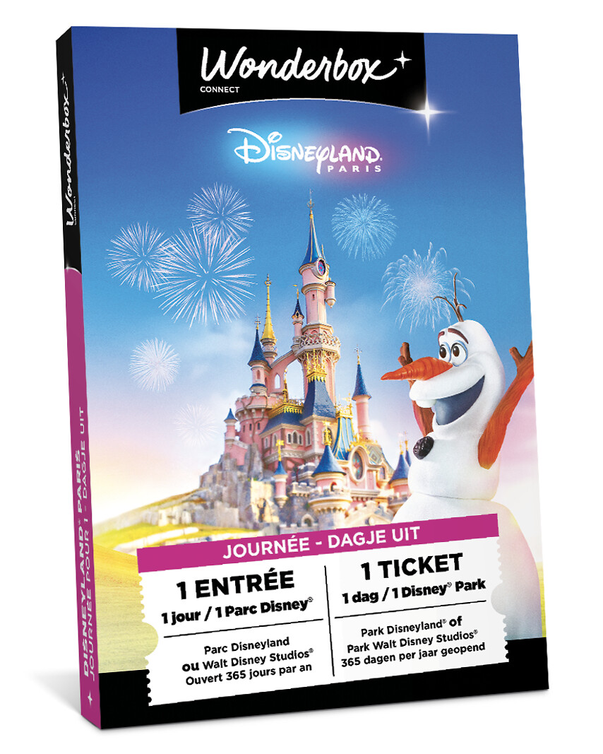 Disneyland® Paris - 1 jour / 1 parc / 1 billet adulte