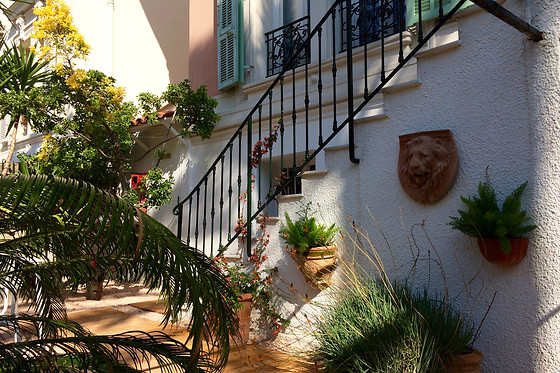Hotel Villa Rose - photo 3