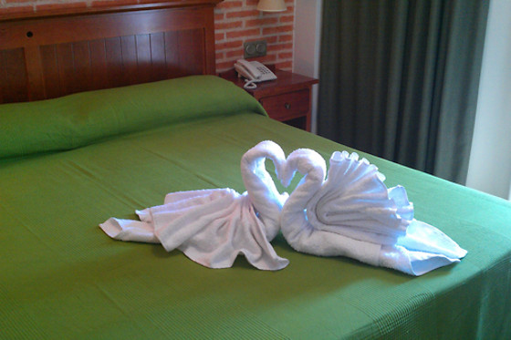 HOTEL ECOLOGICO TORAL - photo 5